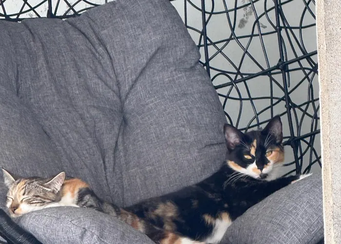 דירה Quinta Da Carlota