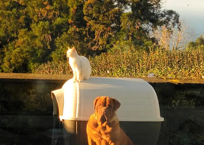 דירה Quinta Da Carlota פובואסאו