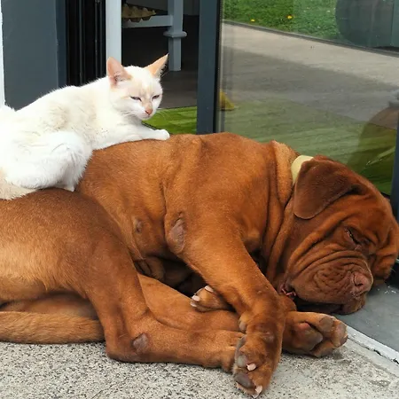 Quinta Da Carlota * 포보아카오