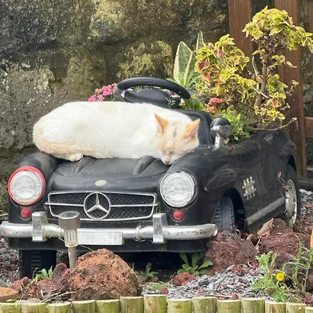 Quinta Da Carlota Apartamento Povoacao (Sao Miguel)