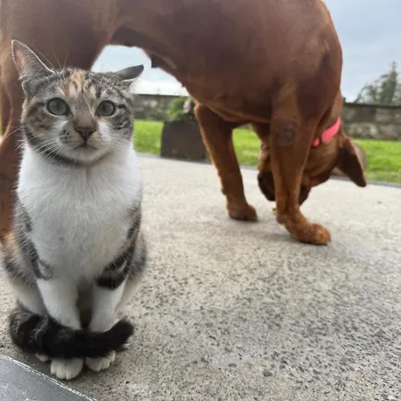 Apartamento Quinta Da Carlota