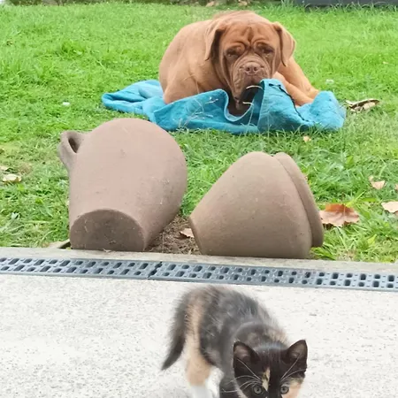 Quinta Da Carlota Apartamento *