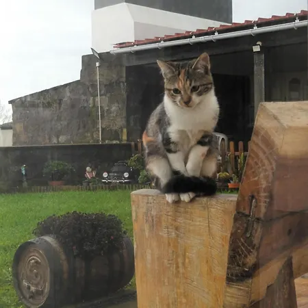 Quinta Da Carlota Apartamento *