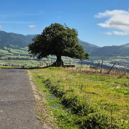 Quinta Da Carlota * Povoacao (Sao Miguel)