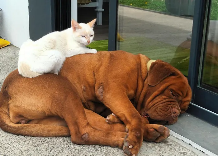 Quinta Da Carlota * Povoacao (Sao Miguel)