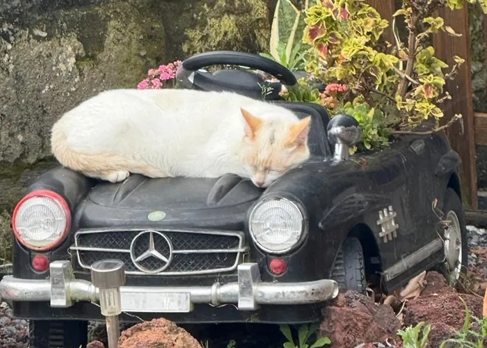 Quinta Da Carlota 아파트 포보아카오