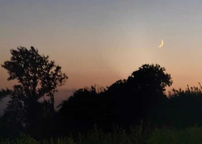 Quinta Da Carlota * 포보아카오